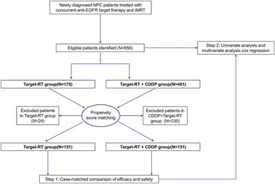 Adding Concurrent Chemotherapy Significantly Improves the Survival of Stage II-IVb Nasopharyngeal Carcinoma Patients Treated With Concurrent Anti-EGFR Agents